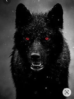 Foto profil Black Wolf