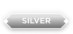 SILVER badge